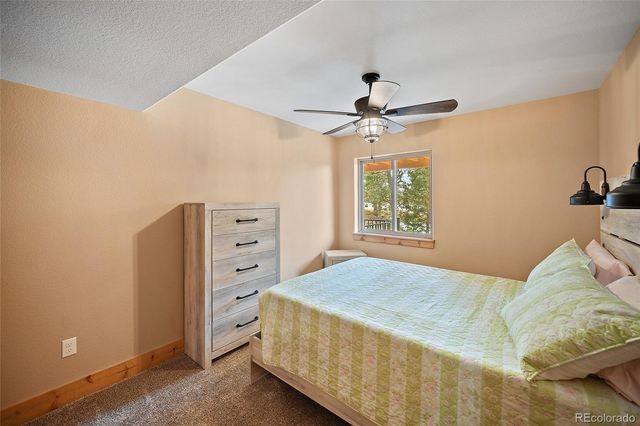 367 Cottonwood Lake Drive, Divide, CO 80814