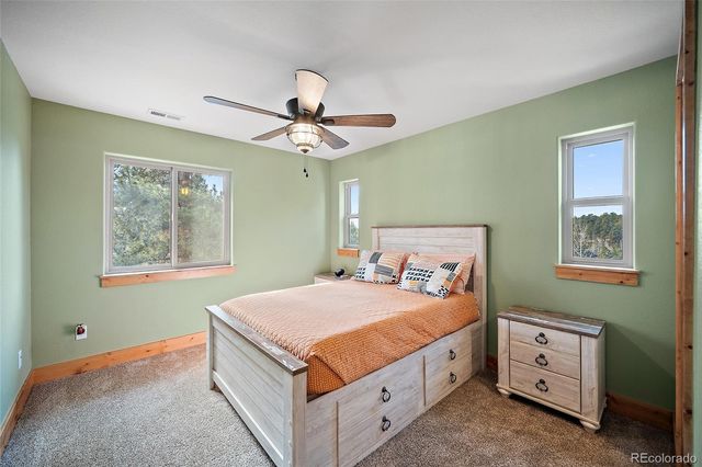 367 Cottonwood Lake Drive, Divide, CO 80814