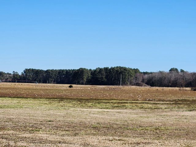 9851 Charleston Highway, Saint George, SC 29477