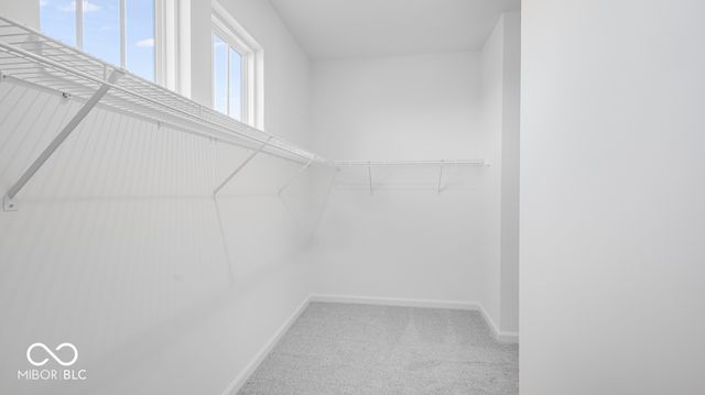 9026 Anthem Avenue, Plainfield, IN 46168