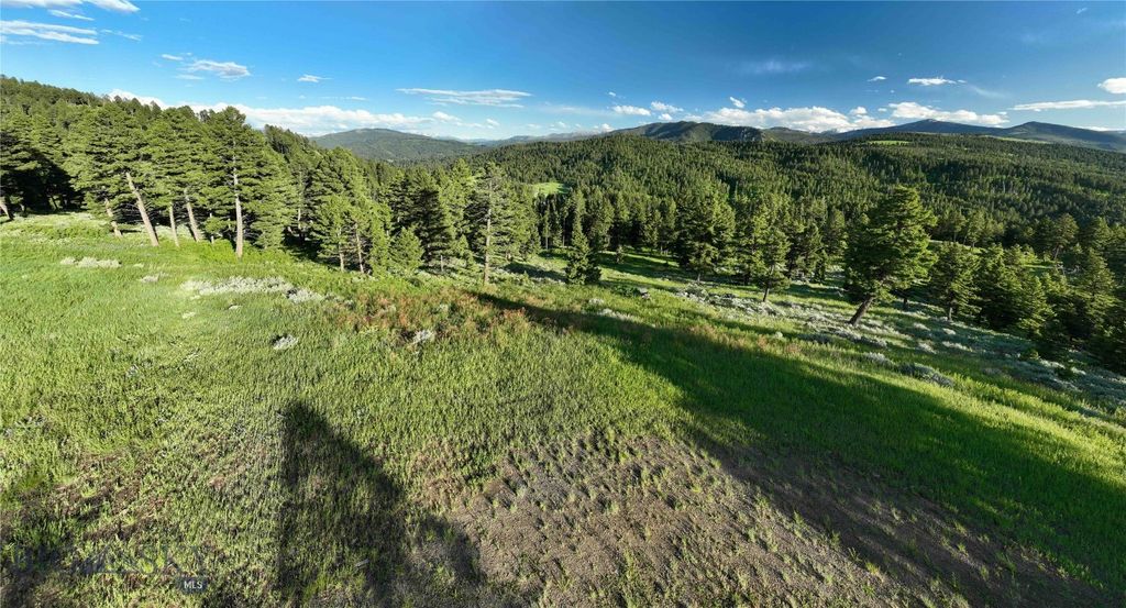 Ranch 4 North Pass Ranches, Bozeman, MT 59715 photo 13