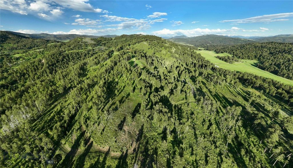 Ranch 4 North Pass Ranches, Bozeman, MT 59715 photo 15