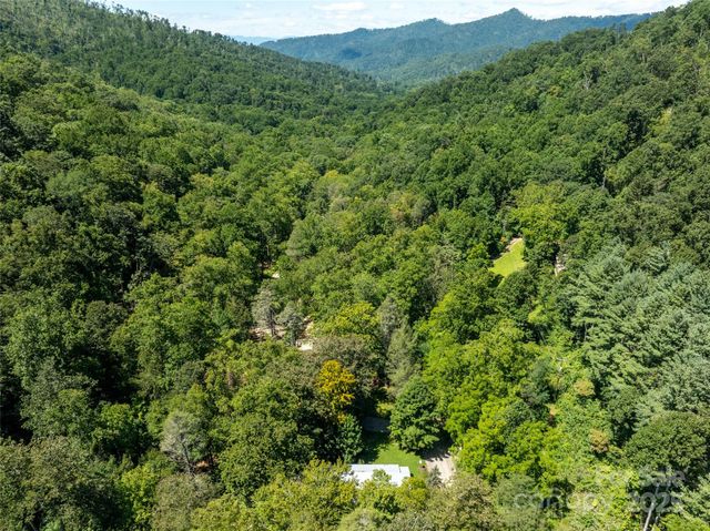 347 Blackberry Inn Road, Weaverville, NC 28787