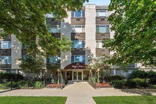201 S Maple Avenue 210, Oak Park, IL 60302