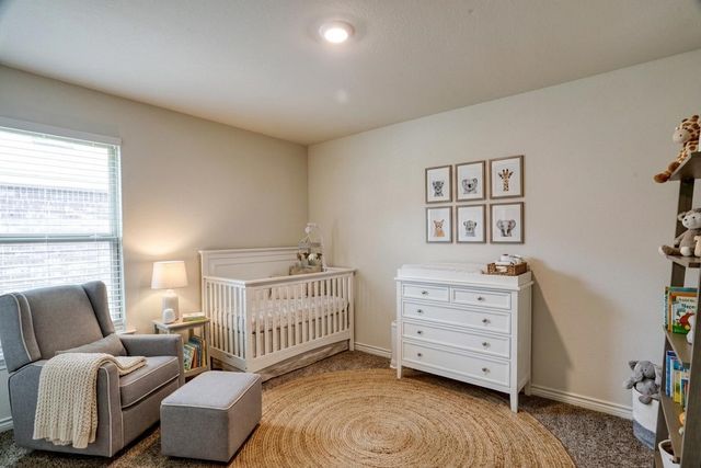 9813 Daisy Mae Lane, Aubrey, TX 76227