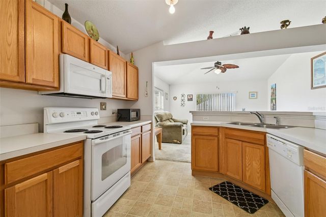 12931 TRIBUTE DRIVE, Riverview, FL 33578