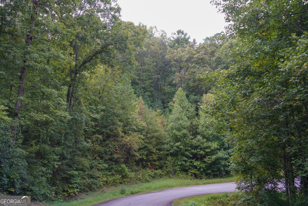 0 Heavenly Circle 12, Clayton, GA 30525 — photo 4
