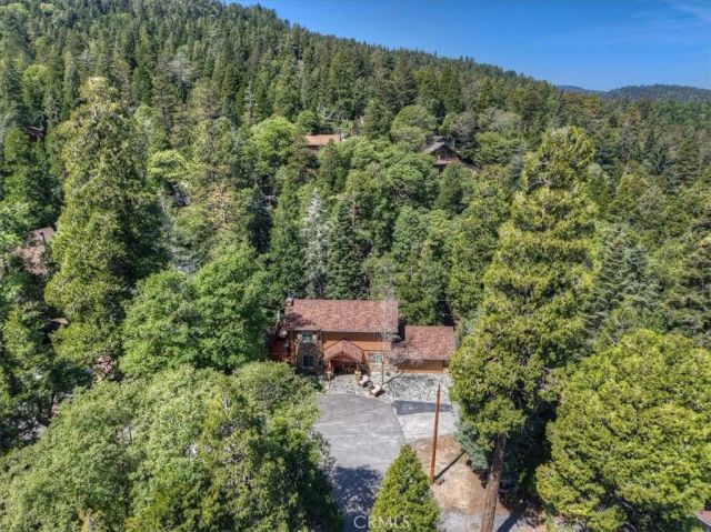 1056 Fiden Court, Crestline, CA 92325