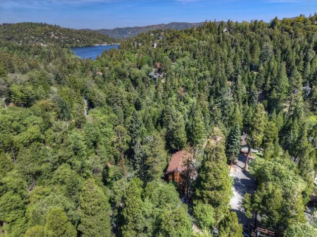 1056 Fiden Court, Crestline, CA 92325