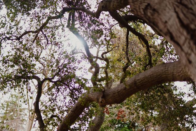 938 Clark Avenue 50, Mountain View, CA 94040