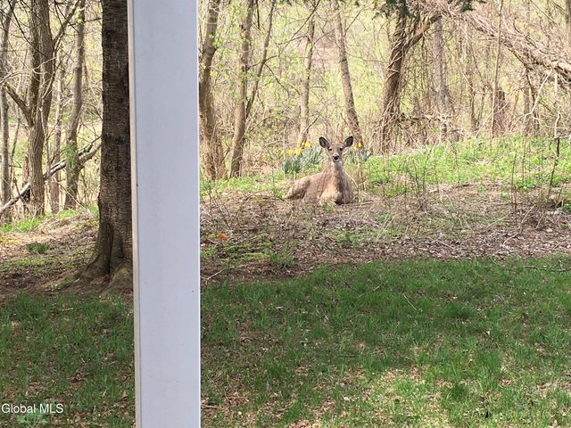 49 Cheryl Court, Troy, NY 12180