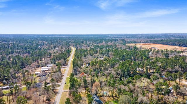 106 Oak Hollow Boulevard, Hockley, TX 77447