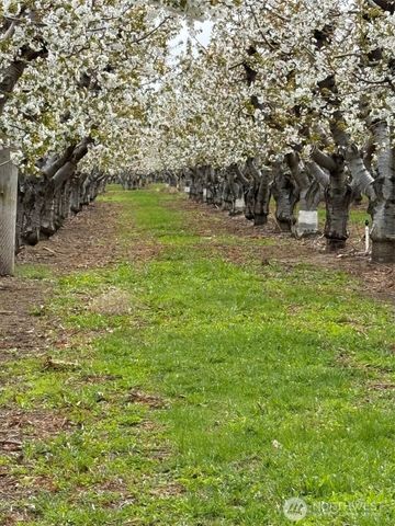 5814 Colockum Road, Malaga, WA 98828