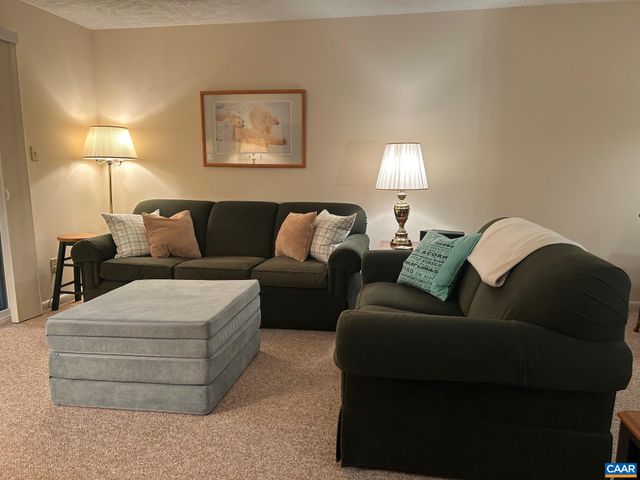 240 TIMBERS CONDOS, Wintergreen Resort, VA 22967