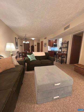 240 TIMBERS CONDOS, Wintergreen Resort, VA 22967