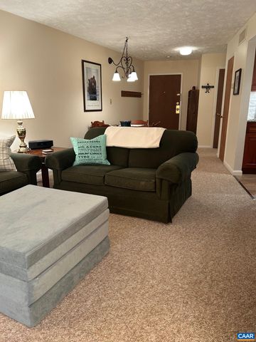 240 TIMBERS CONDOS, Wintergreen Resort, VA 22967