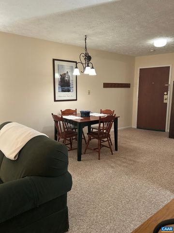 240 TIMBERS CONDOS, Wintergreen Resort, VA 22967