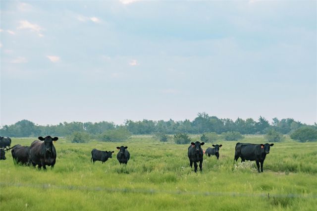 TBD Fm 2754, Brenham, TX 77833