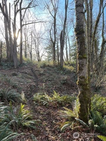 10411 238th Street E, Graham, WA 98338