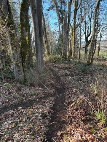 10411 238th Street E, Graham, WA 98338