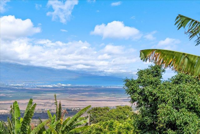 80 Kai Nana Pl, Kula, HI 96790