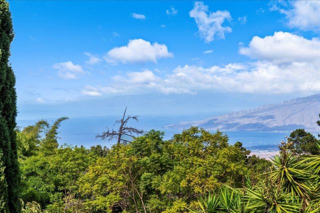 80 Kai Nana Pl, Kula, HI 96790