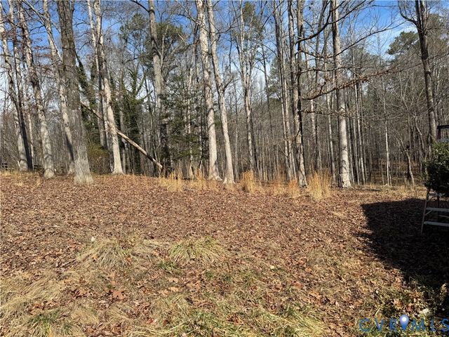 2150 Eastwood Pine Ct, Moseley, VA 23120