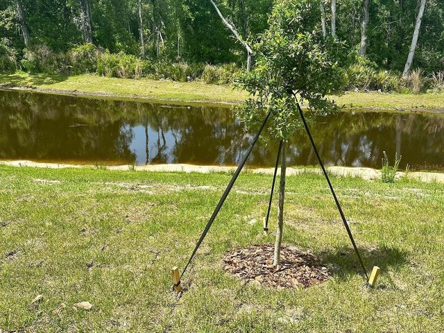 17649 NECTAR FLUME DRIVE, Land O Lakes, FL 34638