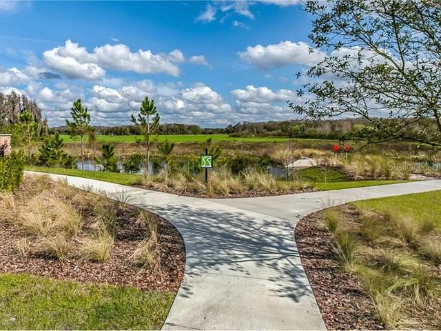 17649 NECTAR FLUME DRIVE, Land O Lakes, FL 34638
