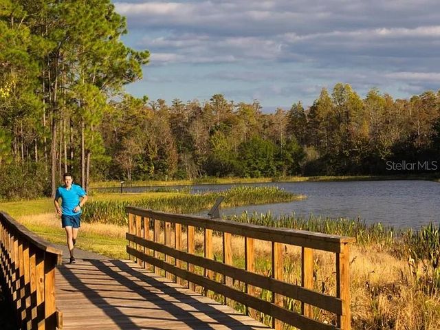 17649 NECTAR FLUME DRIVE, Land O Lakes, FL 34638