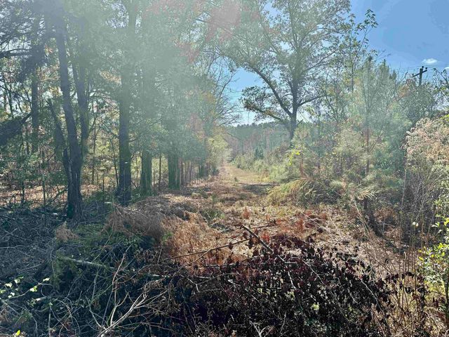 987 Walker Road, Amity, AR 71921