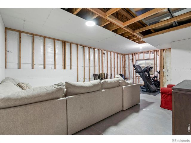 240 Hillspire Drive, Windsor, CO 80550