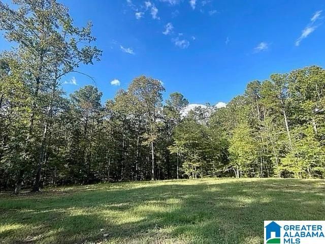 672 OAK HAVEN TRAIL, Columbiana, AL 35051