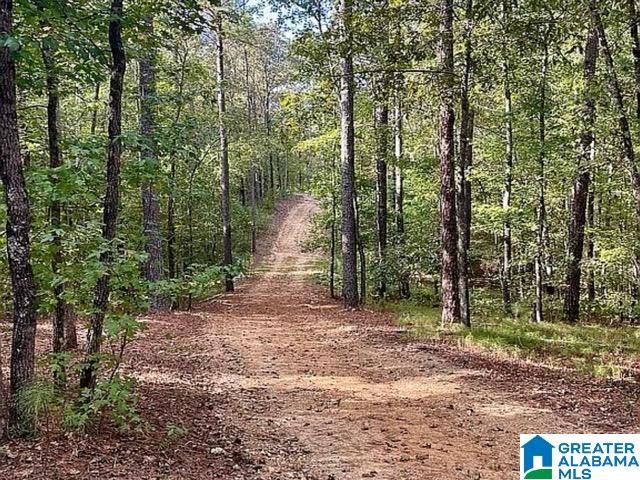 672 OAK HAVEN TRAIL, Columbiana, AL 35051