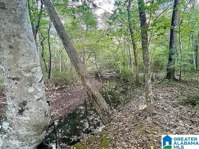 672 OAK HAVEN TRAIL, Columbiana, AL 35051