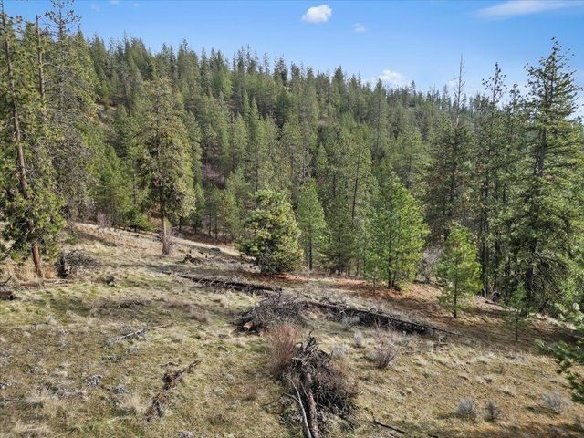 NKA Lower Weaver Way, Deer Park, WA 99006