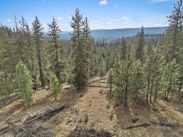 NKA Lower Weaver Way, Deer Park, WA 99006