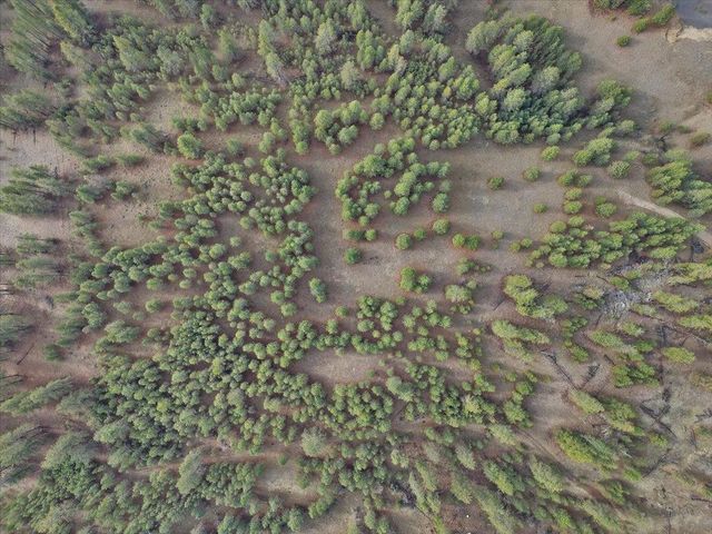 NKA Lower Weaver Way, Deer Park, WA 99006