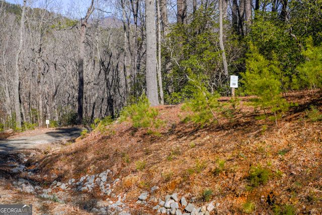0 Ivy Ridge Way LOT 39, Clarkesville, GA 30523