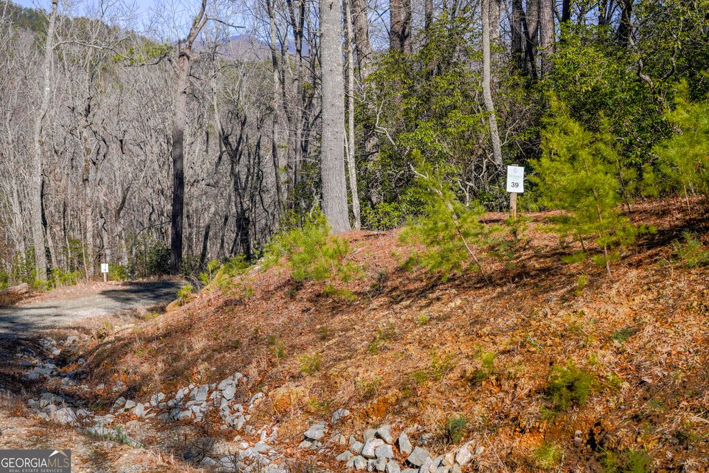 0 Ivy Ridge Way LOT 39, Clarkesville, GA 30523 — photo 2