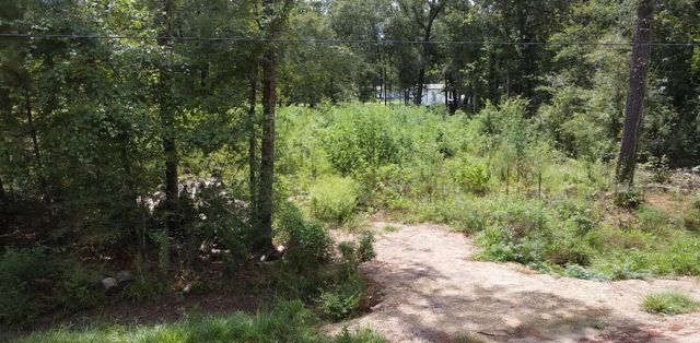 1244 Country Road 6475, Liberty, TX 77535