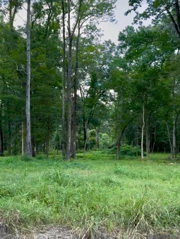 LOT A-1-B Lemon Rd, Slaughter, LA 70777