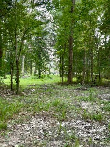 LOT A-1-B Lemon Rd, Slaughter, LA 70777