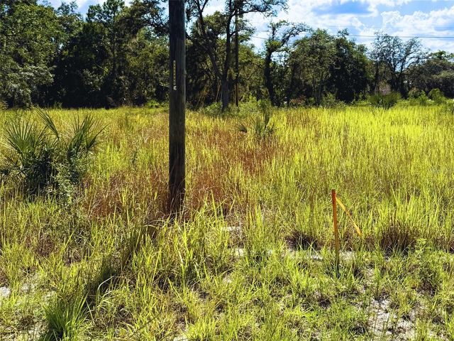 121 CENTRAL AVENUE, Davenport, FL 33896