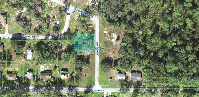 121 CENTRAL AVENUE, Davenport, FL 33896