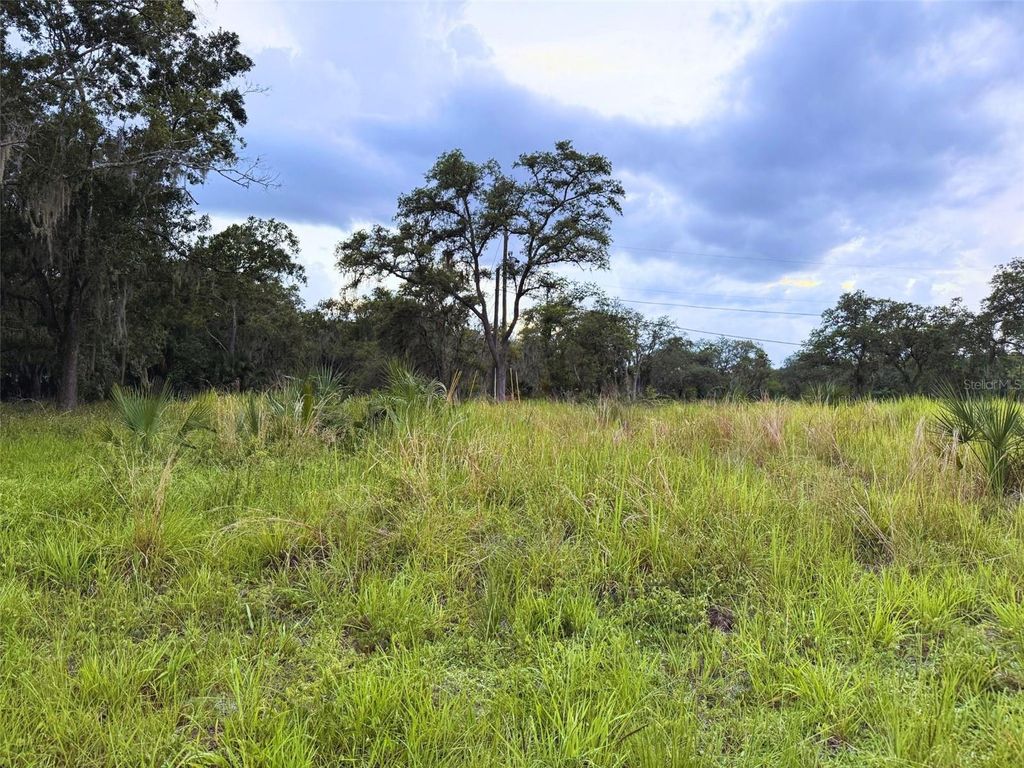 121 CENTRAL AVENUE, Davenport, FL 33896