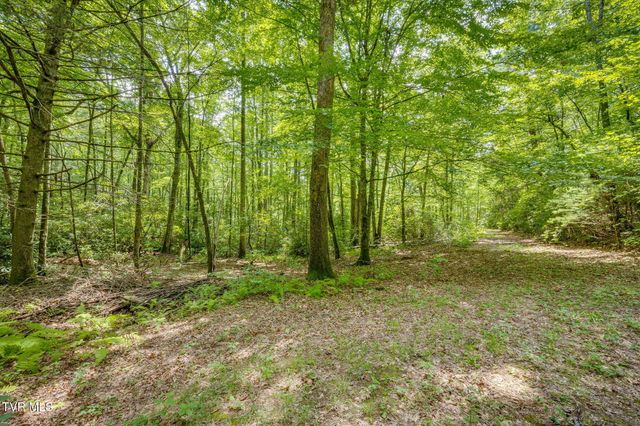 284 Bulldog Hollow Road, Elizabethton, TN 37643
