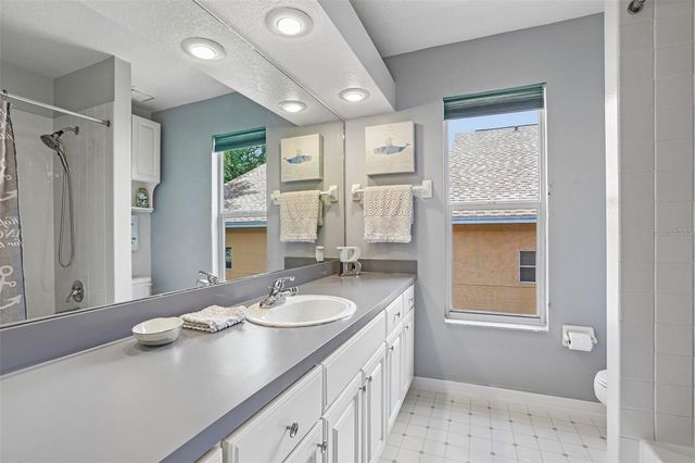 17702 LONG RIDGE ROAD, Tampa, FL 33647