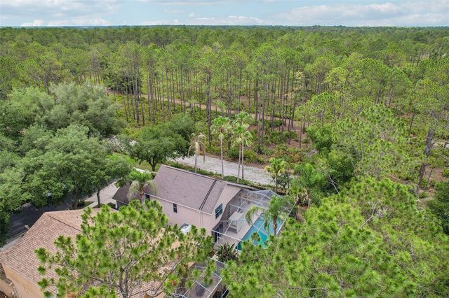17702 LONG RIDGE ROAD, Tampa, FL 33647