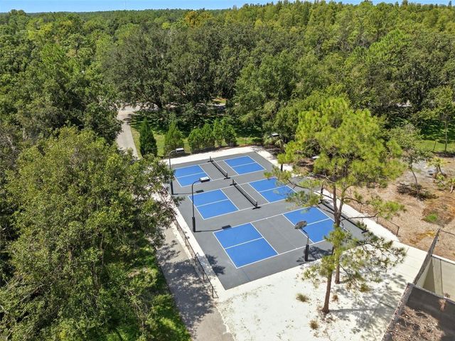 17702 LONG RIDGE ROAD, Tampa, FL 33647